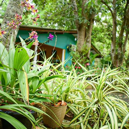 Palitha Homestay Sigiriya Ngoại thất bức ảnh