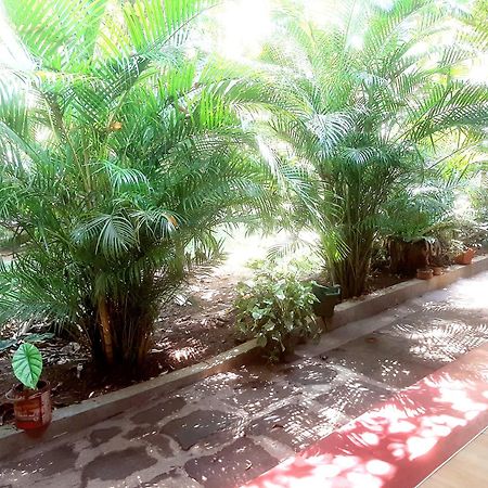 Palitha Homestay Sigiriya Ngoại thất bức ảnh