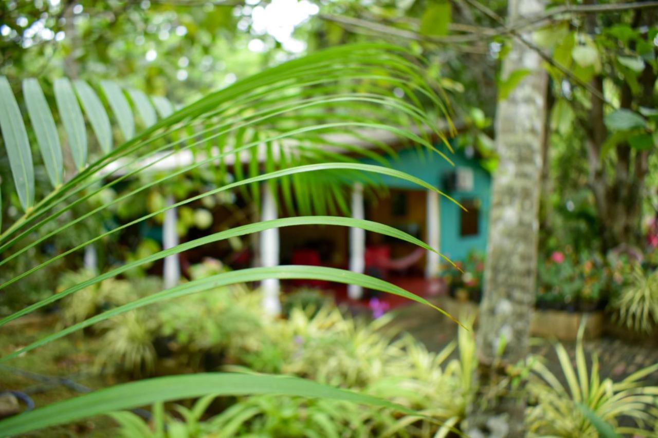 Palitha Homestay Sigiriya Ngoại thất bức ảnh