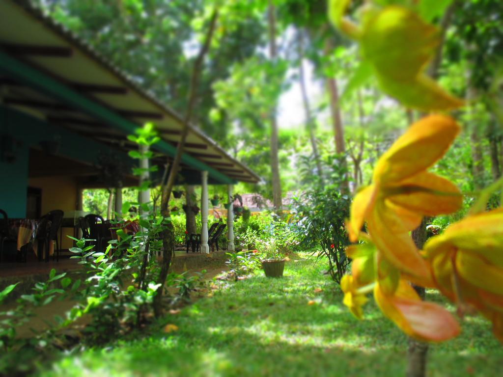 Palitha Homestay Sigiriya Ngoại thất bức ảnh